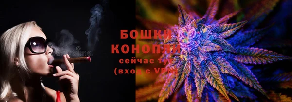 ешки Аркадак