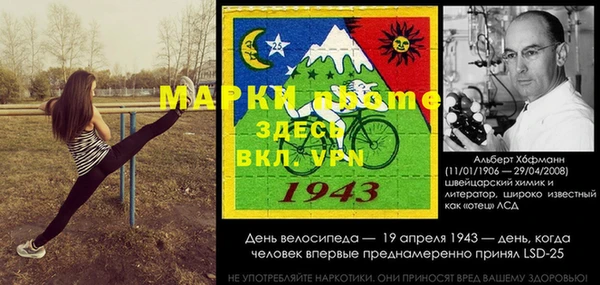 ешки Аркадак