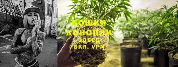 ешки Аркадак
