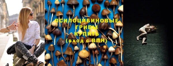 2c-b Армянск