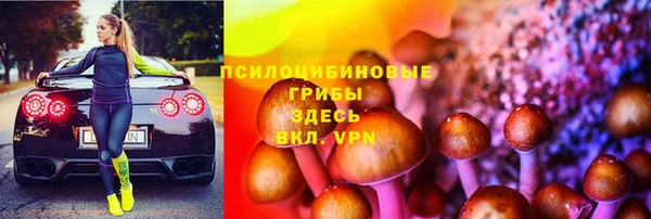 бошки Арсеньев
